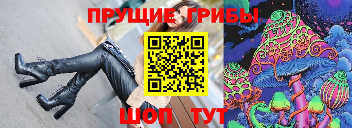 Чайковский  Галлюциногенные грибы прущие грибы  Вход с VPN 